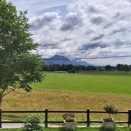 Apartma Arnez ブレッド エクステリア 写真