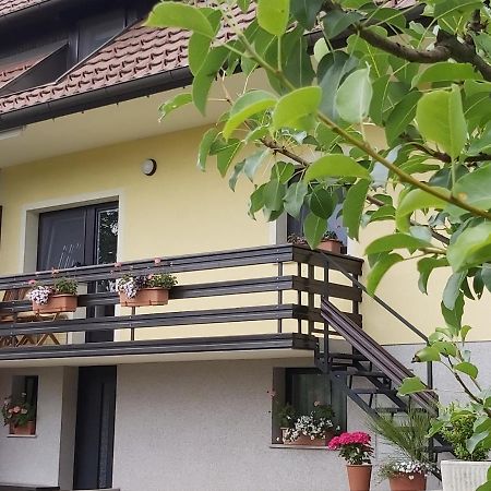 Apartma Arnez ブレッド エクステリア 写真